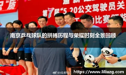 南京乒乓球队的拼搏历程与荣耀时刻全景回顾