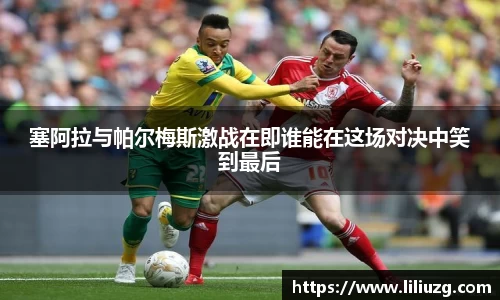 塞阿拉与帕尔梅斯激战在即谁能在这场对决中笑到最后