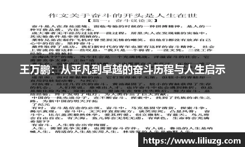 VSport胜利因您更精彩